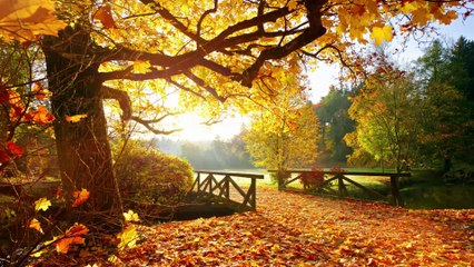 Foliage mania: dieci luoghi incantati in Europa dove perdersi tra i colori autunnali