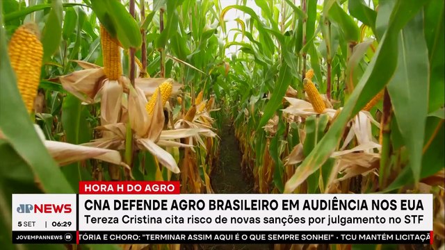 Mariana Grilli: CNA defende competitividade do agronegócio brasileiro