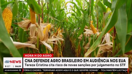 Mariana Grilli: CNA defende competitividade do agronegócio brasileiro