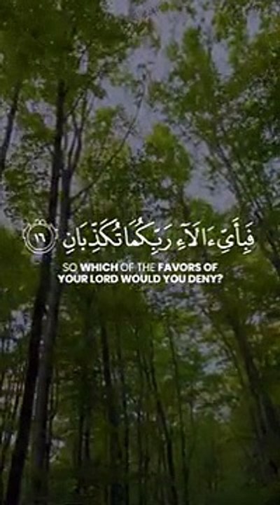 QURAN RECITATION 🎧