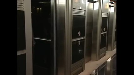 Amores de mercado Capitulo 1 parte 2