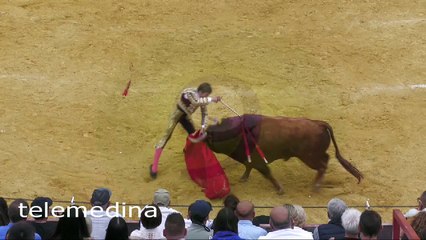 Borja Jiménez sufre un percance al entrar a matar al toro en Medina del Campo