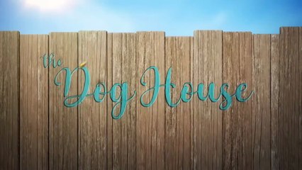The Dog House S08E01 (2025)