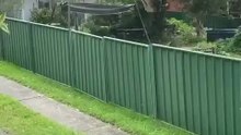Welcome to Australia 🇦🇺