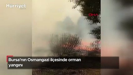 Bursa'nın Osmangazi ilçesinde orman yangını