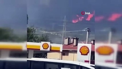 Bursa'da ormanlık alanda büyük yangın