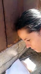 Voluntarios rescate de animales en casa abandonada de Santa Cruz de Tenerife