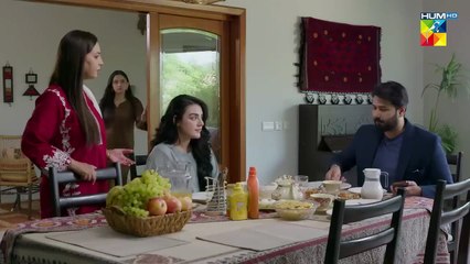 Woh Ziddi Si - Episode 11  [ Aina Asif & Ali Abbas ]