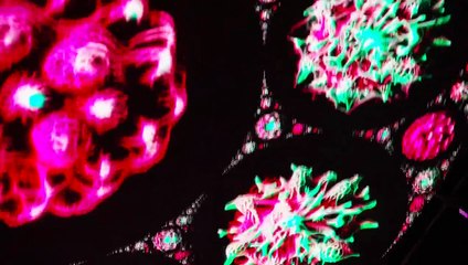 Londra, Charli XCX e H&M: l'evento