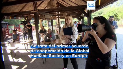 American Humane Society y Hungría sellan una alianza pionera para la protección de los animales