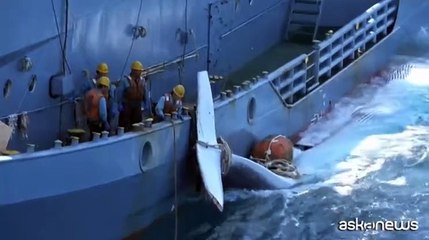 Un macabro ritorno al passato: ricomincia la caccia alle balenottere in Giappone