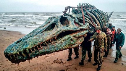 Le plus grand fossile de monstre marin découvert accidentellement aux États-Unis