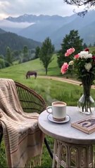 Aesthetic Rural Life