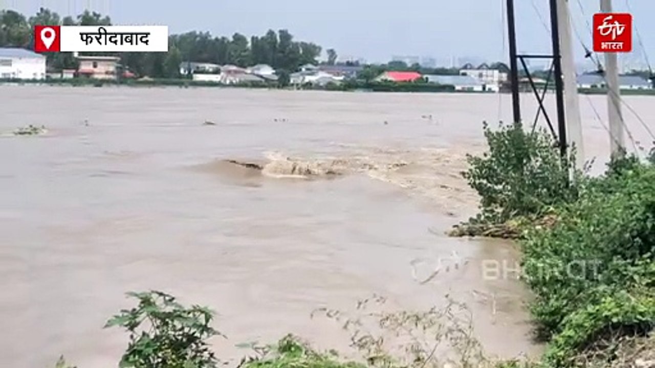 यमुना उफान पर: बसंतपुर समेत 14 गांवों में घुसा बाढ़ का पानी, कड़ावली गांव का कमजोर बांध बना खतरे की घंटी