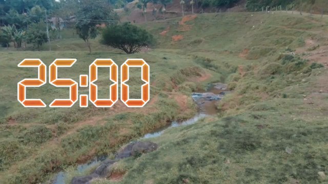 TDAH 25 minutes Relax Timer / Estudar 25:00 - Nature sound