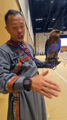 Eagle Instructor at Adihex 🦅