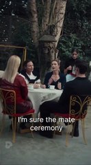 Alpha's Forbidden Mate