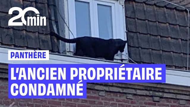 L’ancien propriétaire de la panthère d’Armentières prend 18 mois de sursis