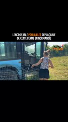 L’incroyable poulailler déplaçable de cette ferme en Normandie ! 🐔Vidéo complète à retrouver sur notre chaîne YouTube : CotCot Club (lien en biographie) 🧡