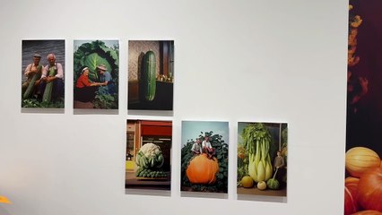 Bruce Eesly ai "Rencontres" della fotografia di Arles