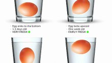 How to Tell if an Egg is Fresh 🥚 | Easy Egg Test at Home