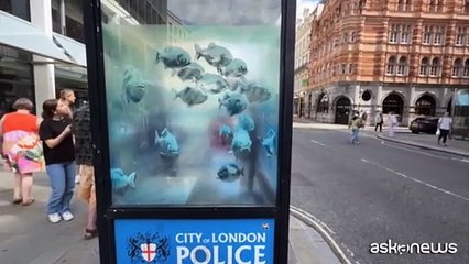 Banksy colpisce ancora: un acquario con pesci per il suo London Zoo