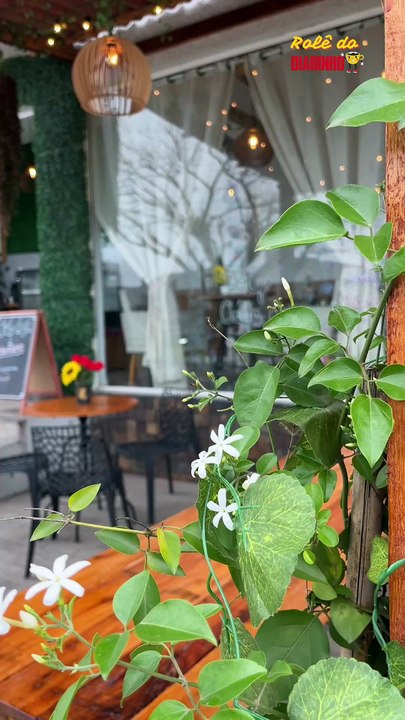 Foly Café: o sabor de casa que conquistou o Santa Regina