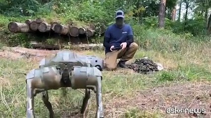 I cani robot alleati in prima linea in Ucraina contro la Russia