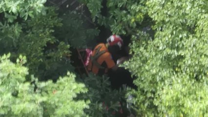 한라산에서 쓰러진 60대, 소방헬기로 병원 긴급 이송 / YTN