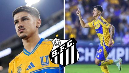 Rômulo Zwarg descarta dejar Tigres tras ofertas de Santos de Brasil: "Me gusta mucho estar acá"