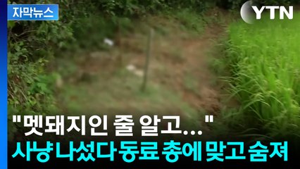 [자막뉴스] 멧돼지 사냥 중 '부스럭' 소리 듣고 쐈는데, 알고 보니... / YTN