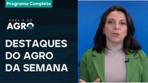Impactos da Lei da Reciprocidade no agro + Projeção de safra para MT -  Hora H do Agro I 06/09/25