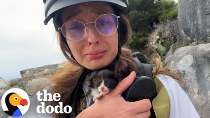Skateboarder Rescues Abandoned Kittens On The Roadside