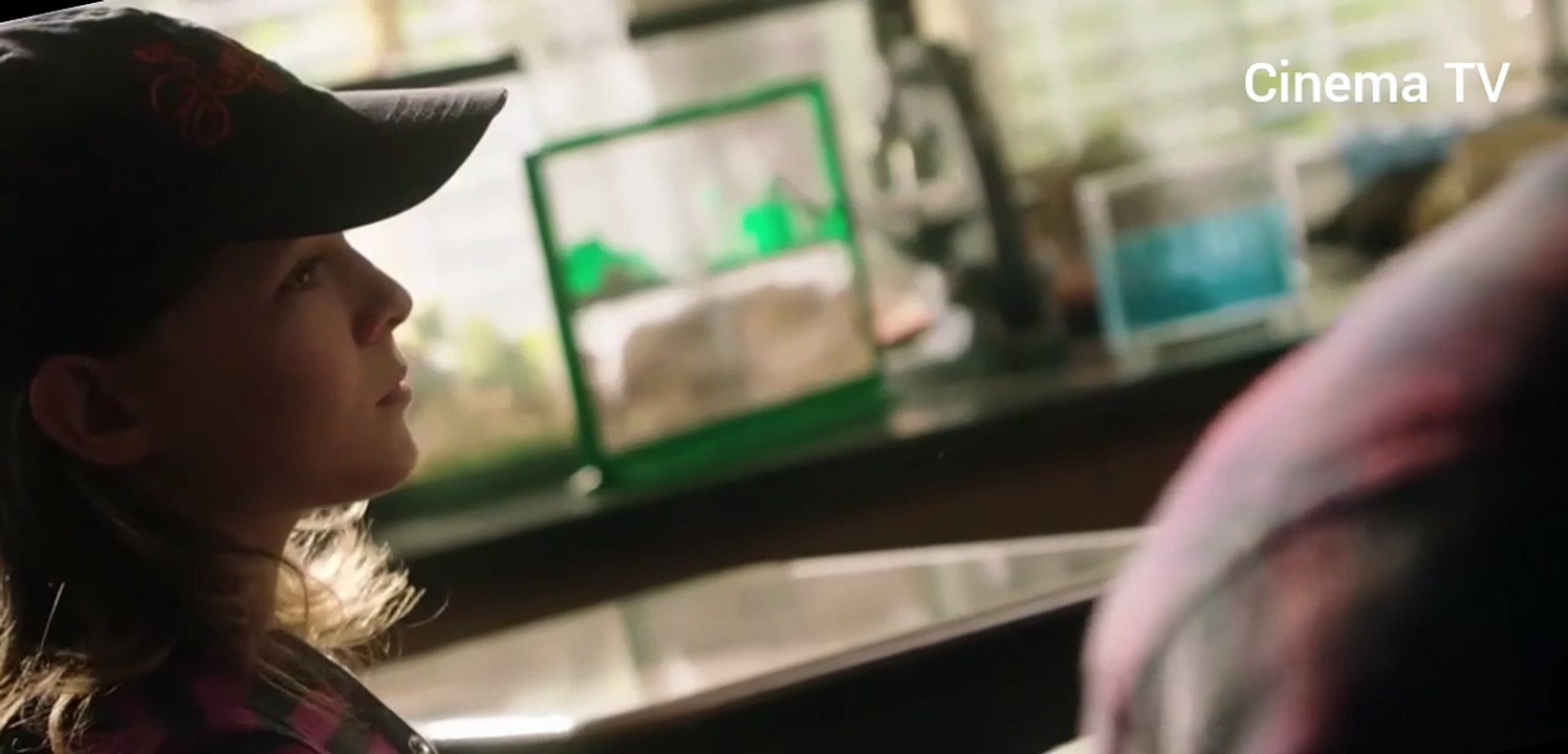 El Protector (2013) Película Completa en Español Latino