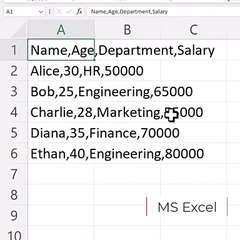 MS Excel Splitting data