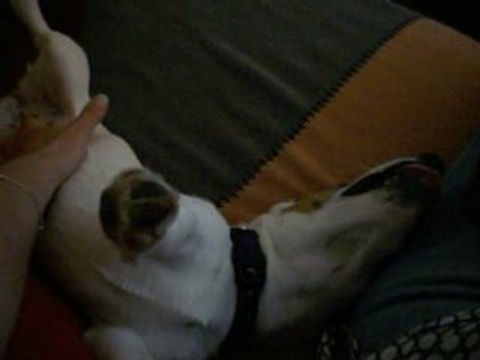 Chufi dort