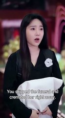 I Said Yes to Danger Chinese Drama - English Sub - Full Drama Movies