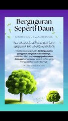 Cara Menghapus Dosa Kesalahan Dan Keburukan Dalam Islam