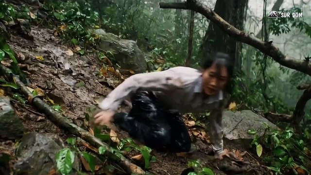 A Girl Alone Surviving In The Forest - Battles with Giant Pythons and King Cobras