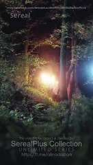 Misguided Love Through The Years Full Chinese Drama - English Sub