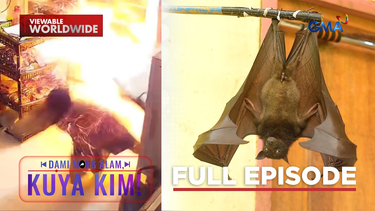 Oven, sumabog!; Paniki, ginawang alaga?! | Dami...