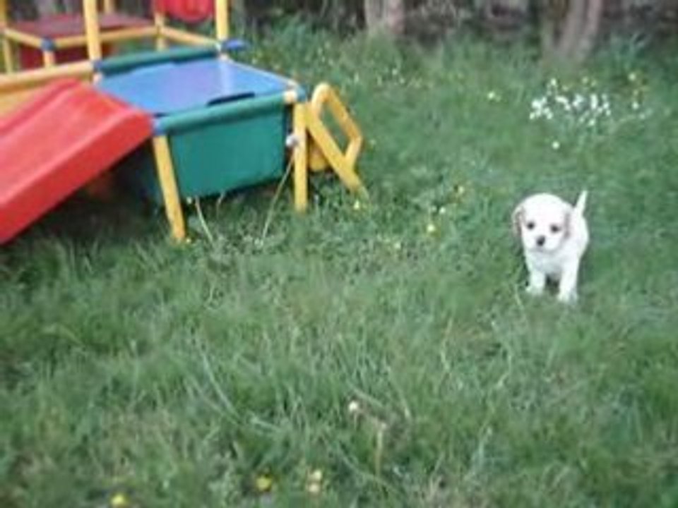 MOV01702
