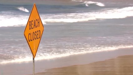Man dies after shark attack at Sydney beach