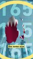 90% of Qatar’s Residents Aren't Citizens-