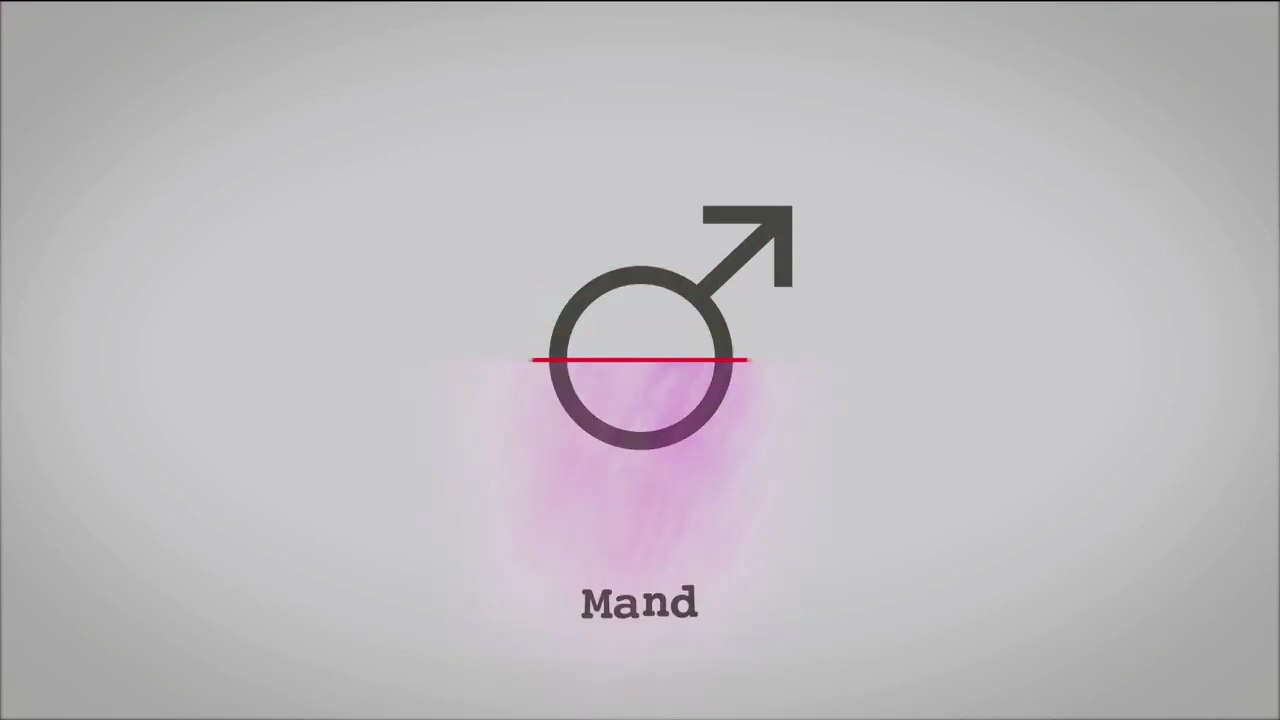 Langt fra Borgen - Giver vi plads nok til folk, der hverken er mand eller kvinde? |2018| DR1