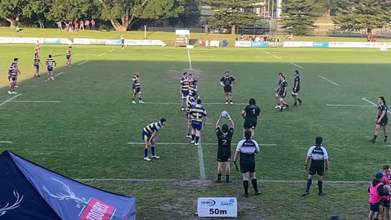 maitland lineout