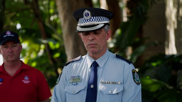 « C'est terrible » : un surfeur tué par un grand requin en Australie