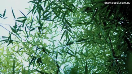 The Formless City Ep 16 English Sub