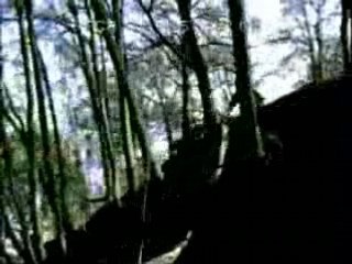 Dwight Redman dot com