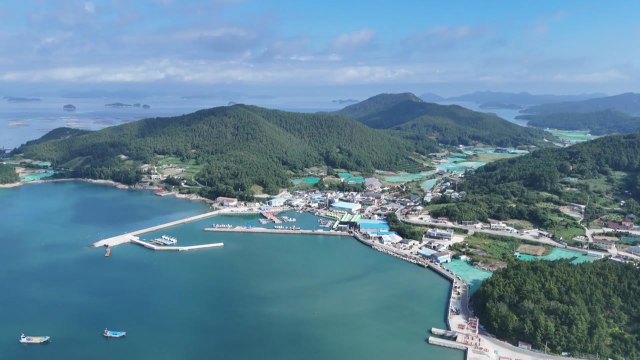 완도 다시마 축제에도 유모차 걷기 대회에도...주말 나들이객 '북적' / YTN